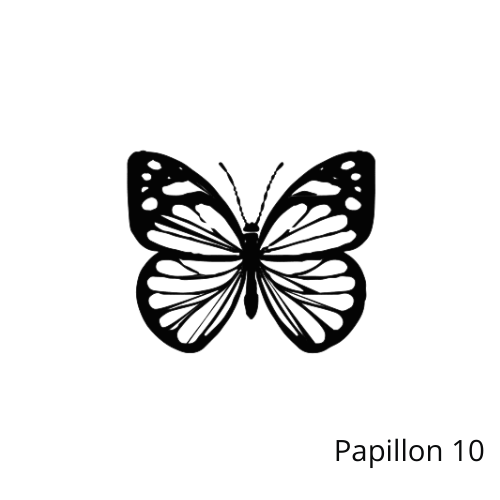 Miniature : Papillon