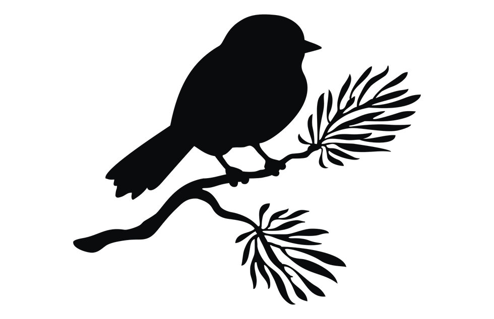 Oiseau sur branche