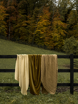 Screenshot 2025-05-22 at 11.29.10 PM.png