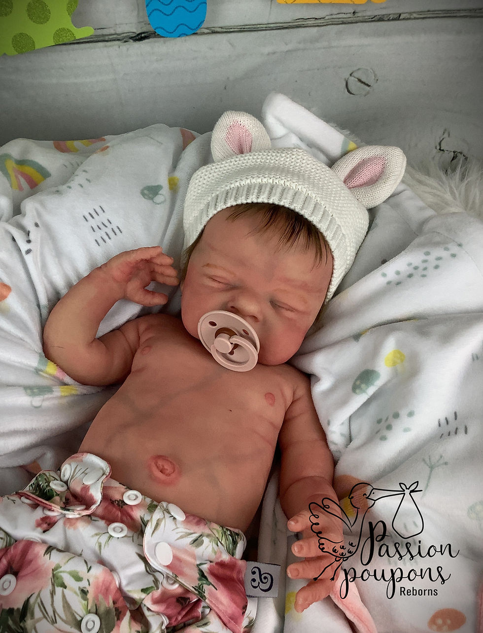 Miniature : Bébé reborn Ireland Rose