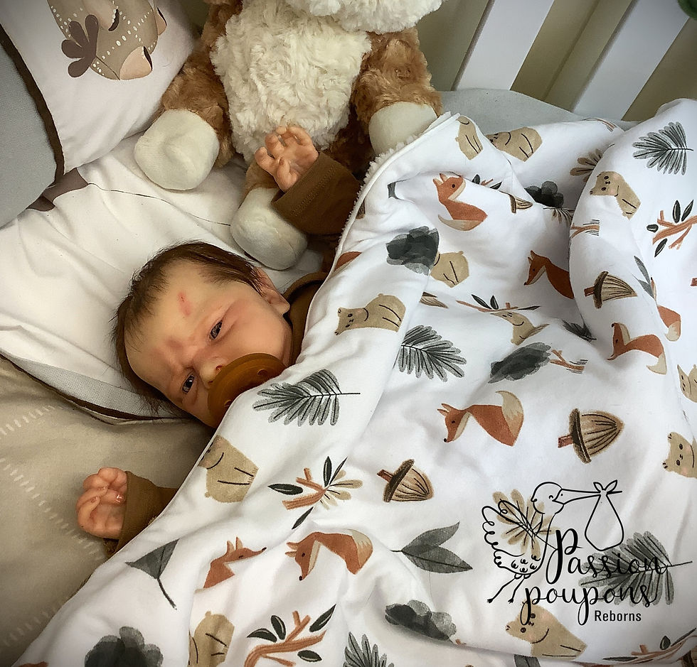 Miniature : Bébé reborn Kobi de Doris Moyers hornboggen | Boutique québecoise Passion poupons