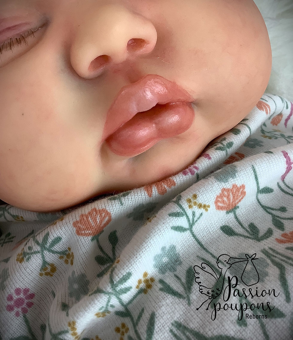 Miniature : Bébé reborn Pickles de Nikki Johnstons