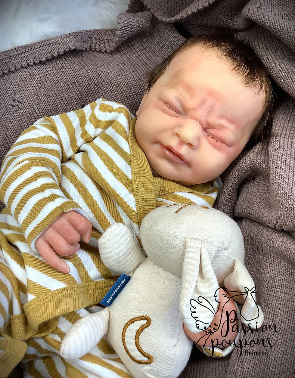 Miniature : Bébé reborn Angelic Joy de Doris Moyers Hornboggen