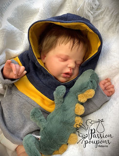 reborn-alexis