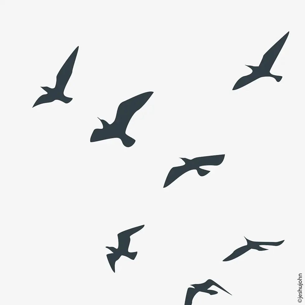 Thumbnail: Look at the Birds of the Air – Christian Bible Verse Wall Art (Matthew 6:26)