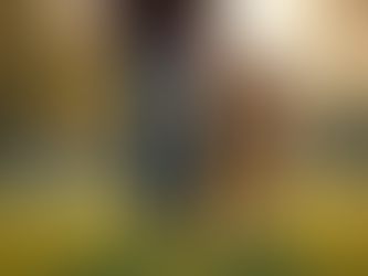 Effective Behavioral Modification Programs for Dogs