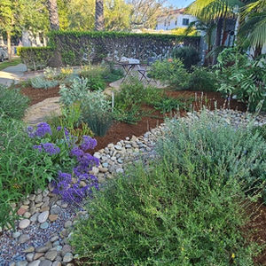 CA Water-Wise Garden