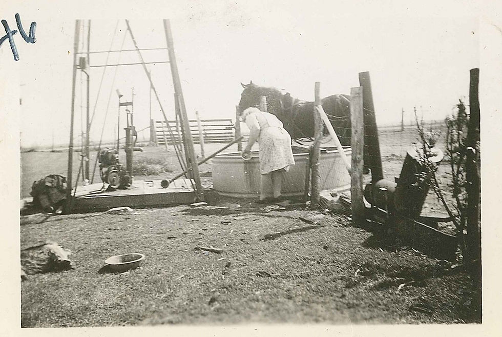 VERLIN AND GRACE HOCKETT FARM