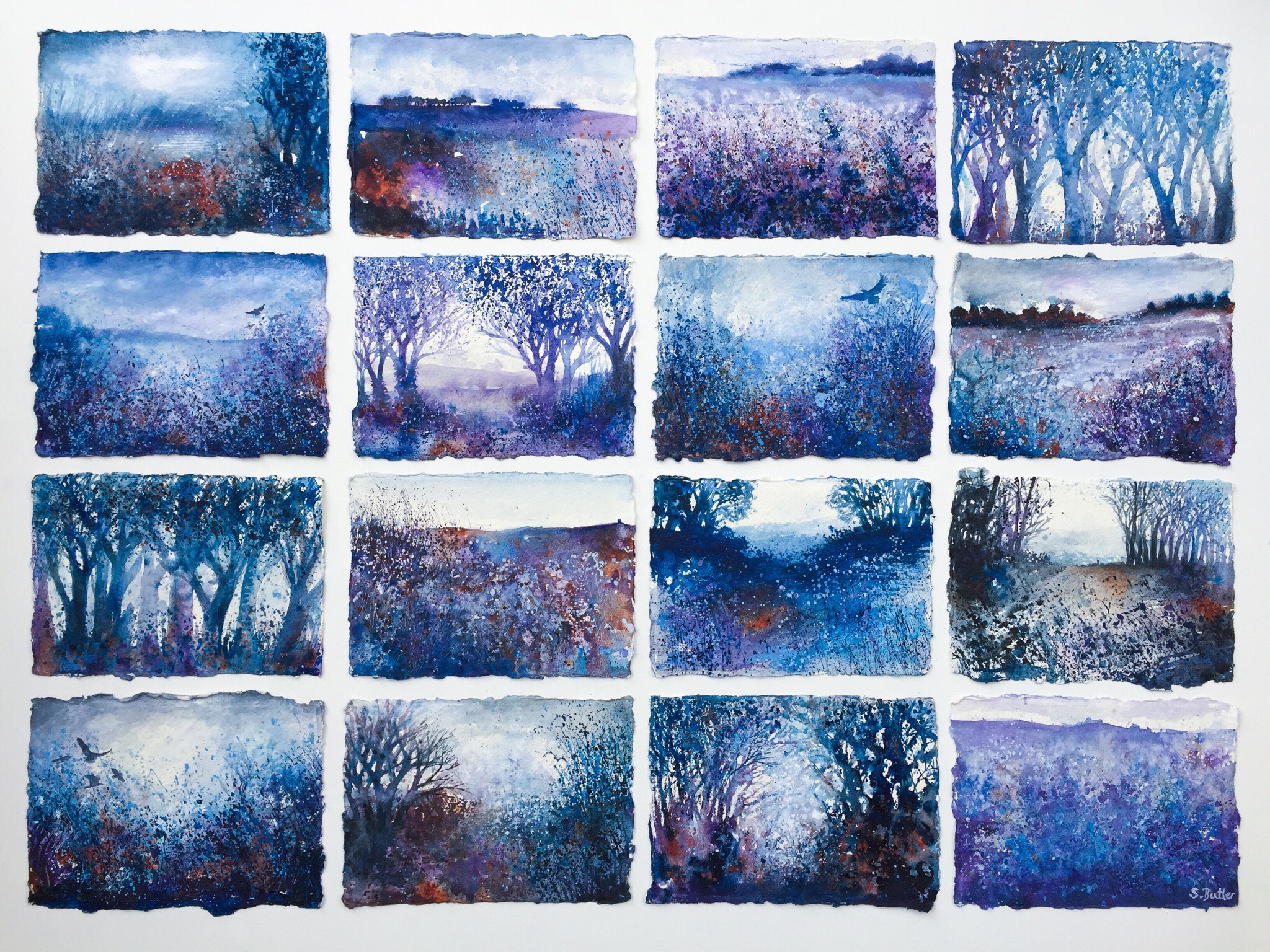 'Violet Hill'