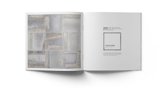 Metal Oxidized 03.jpg