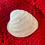 Thumbnail: Small Christmas Seashell Trinket Dish