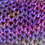 Thumbnail: close up of knit below stitches in purple
