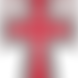 Nomeação do Grão-Prior do Grão-Bailiado do Brasil