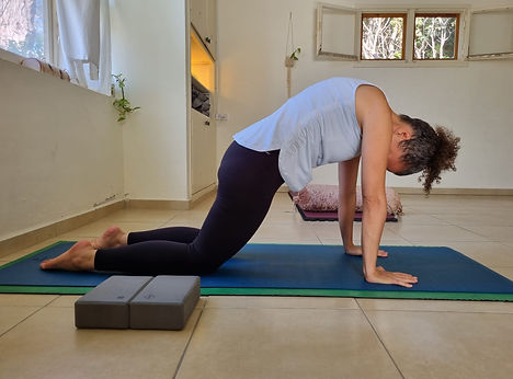 WhatsApp Image 2025-07-20 at 20.30.46 (1).jpeg