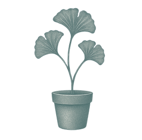 ChatGPT Image 8 ago 2025, 11_50_14-Photoroom.png