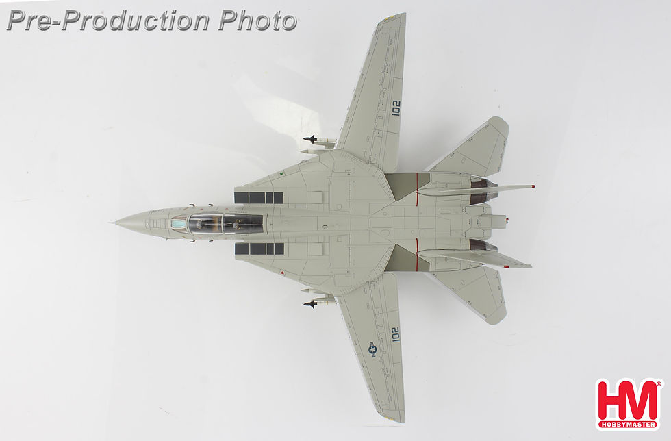 Thumbnail: Hobby Master HA5256, F-14A "Sukhoi Killer" 160403, VF-41, USS Nimitz, Augu, 1:72