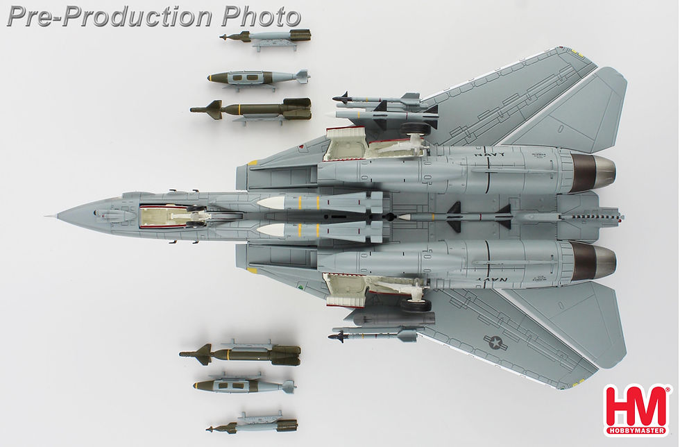 Thumbnail: Hobby Master HA5245, Grumman F-14D “Tomcat Sunset” BuNo 163904, VF-31, 1:72