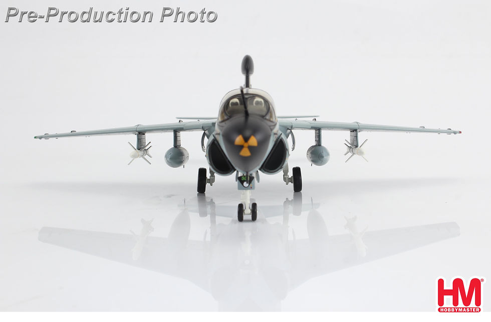 Thumbnail: Hobby Master HA5013, EA-6B Prowler 163884/501, VAQ-209, 2010, 1:72