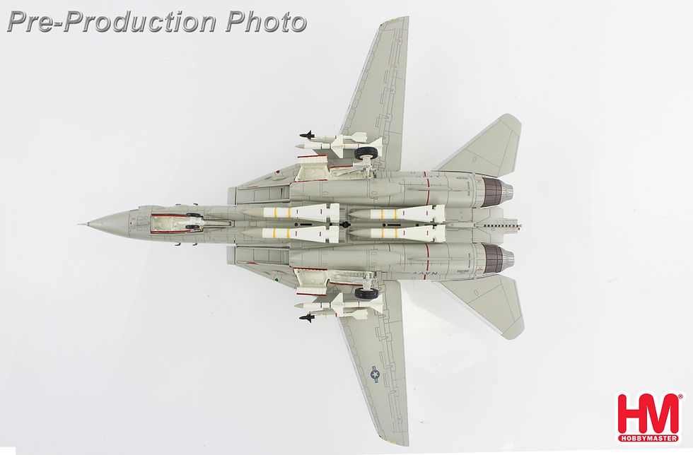 Thumbnail: Hobby Master HA5256, F-14A "Sukhoi Killer" 160403, VF-41, USS Nimitz, Augu, 1:72