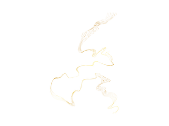 gold line2.png