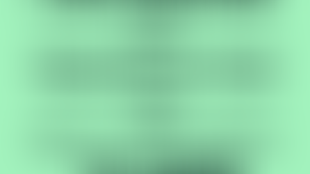 Haber (Preterite Tense) = to have