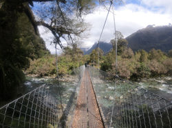 Hollyford Track