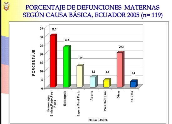 Las campañas de prevención buscan disminuir el alto índice de muertes de mujeres en el Ecuador en la maternidad. Foto: INEC