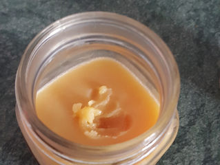 How to make Bear Grease & What is Bear Grease for?