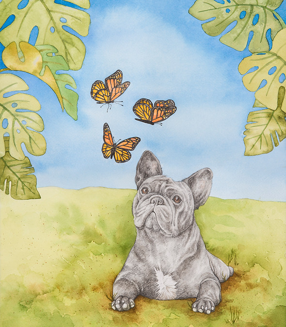 013 butterflys and dog.jpg