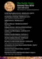 Turtle Final Poster Back (1).png