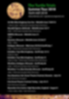 Turtle Final Poster Back (1).png