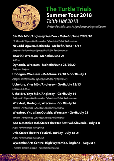 Turtle Final Poster Back (1).png