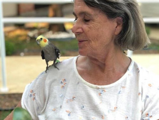Animais contribuem para saúde de idosos em isolamento