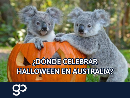halloween-aussie