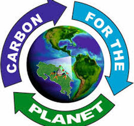 carbon pictures.jpg
