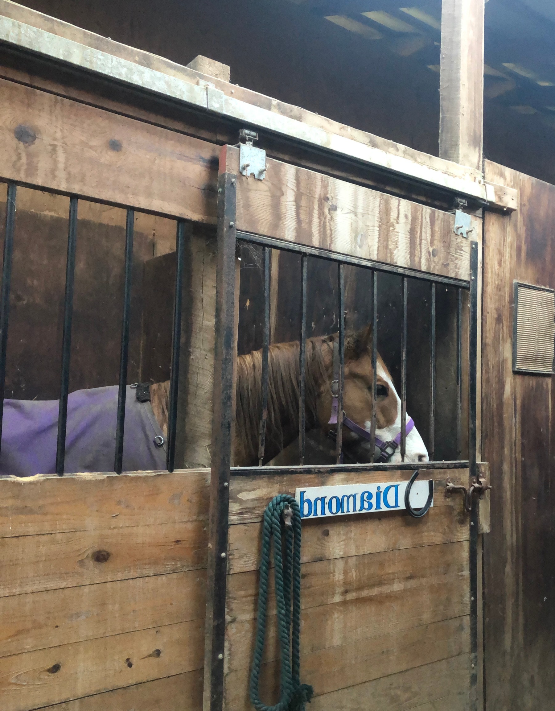 Silver Horseshoe Stable Facility