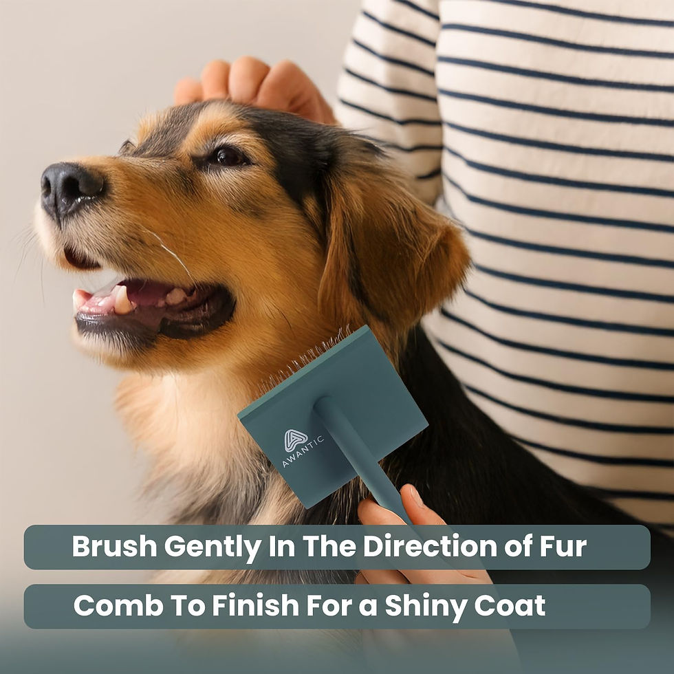 Thumbnail: The Slicker Brush & Comb Set