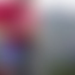 Why Business Coaching Works – Real Wins, Real People, Real Results