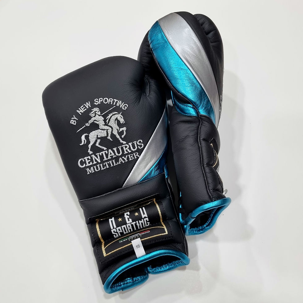 Thumbnail: Training gloves 💢Centaurus💢(14oz 16oz)