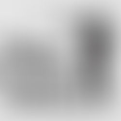 सेवारत शिक्षक बीएड इंटर्नशिप और वेतन