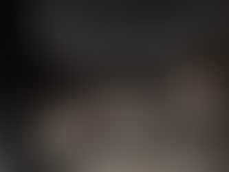 Esteban’s Journey: From Street Cat to Purr Vida Lounge Resident Cat!