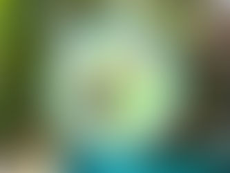 A Heartfelt Donation from Sueño Del Mar Beachfront hotel