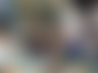 How to Ship Animals from Costa Rica: A Success Story