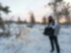 Lapland Nov 2018