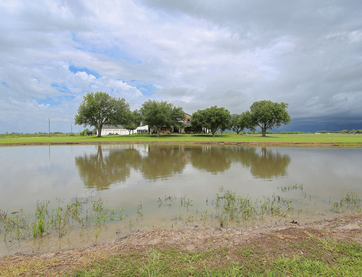 Luxury Homes for Sale Lake Charles LA - Homes for Sale in Lake Charles Louisiana - South Lake Charles Homes for Sale - House on 10 Plus Acres 1