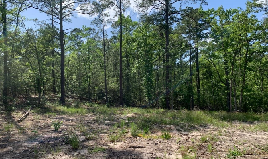 4 Bedroom, 2.5 Bath, 

Brookeland TX home for sale! Almost completed, this 4 bedroom 2.5 bathroom home has much to offer with custom built ins and a large yard in a quiet neighborhood!  Wendi Bangoy with Bangoy Realty Group to learn more.
