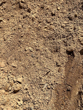 Topsoil - Plantersville Tx - Landscape Supply Contractors - Landscape Supply Plantersville