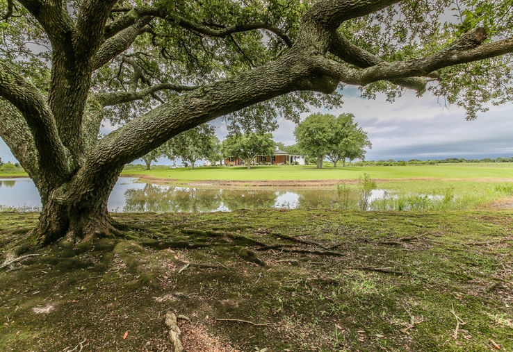 1.Luxury Homes for Sale Lake Charles LA - Luxury Estates for Sale - Land for Sale Lake Charles - Property with Land for Sale 6