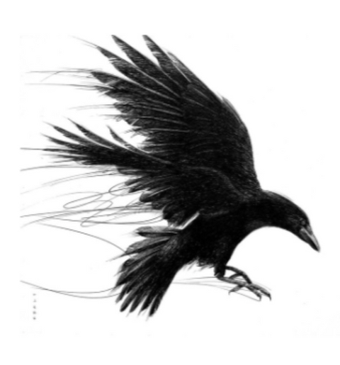 Logo featuring a crow, symbol of resilience, heritage, and community pride, representing a family-owned business rooted in Central Massachusetts.