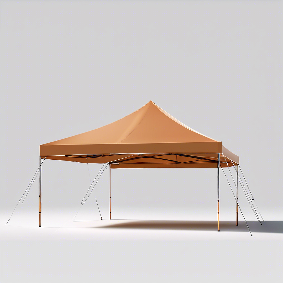 Outdoor Pop-up Tent (10 feet x 10 feet)